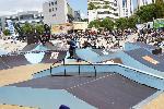 spgm-1.4.7/gal/Galeries/loic/fise_2010/FISE/_thb_Avichai Weshler - Bs savannah.JPG